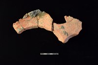 連杯形器藏品圖，第2張